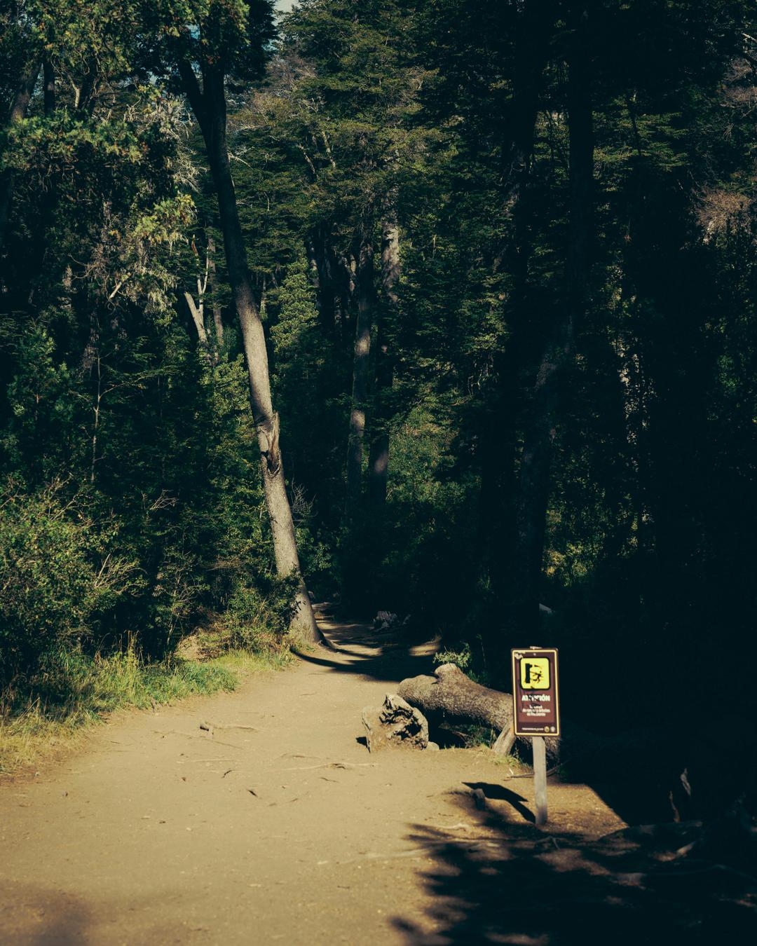 Logistics Planning and Transport